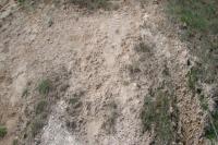 Vedere pe amplasament cu sol contaminat cu HCH. Se pot observa urme ale activităților de colectare de deșeuri și apoi vânzare ca pesticide.